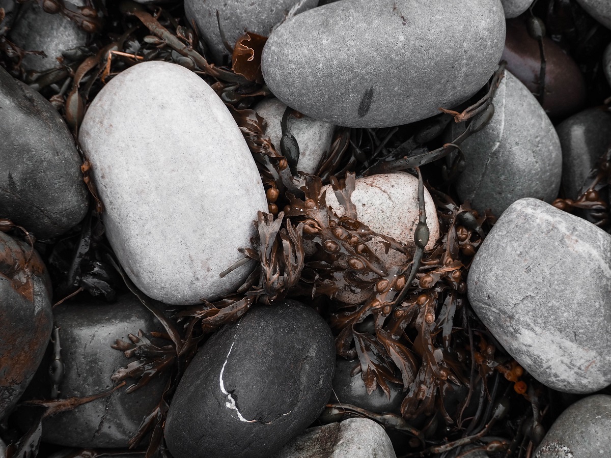 plaża Elgol- wyspa Skye